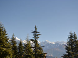 Best Family offers Munsiyari, Uttarakhand, India